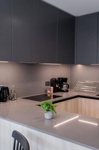 Η κουζίνα ή μικρή κουζίνα στο Located in the Best Area of Las Condes 2BR2BA