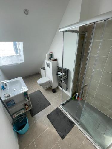 une salle de bain avec une douche, des toilettes et un lavabo dans l'établissement Maison 5 p, face Mont St Michel, à Huisnes-sur-Mer
