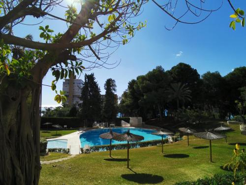 OASIS FRENTE al MAR, ALBUFERA, ALICANTE