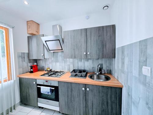 une cuisine avec un évier et une cuisinière four supérieur dans l'établissement Joffre - Sejour a Auxerre, à Auxerre