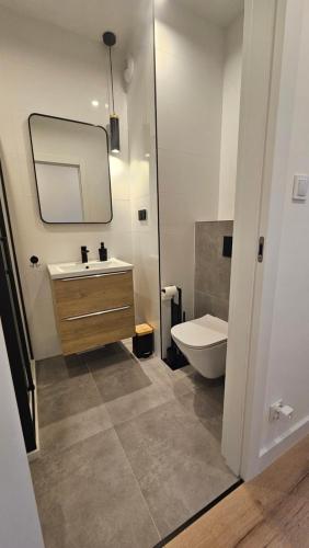 a bathroom with a sink and a toilet and a mirror at Mechelinki, Apartament z ogródkiem, widokiem na morze i aneksem kuchennym in Mechelinki