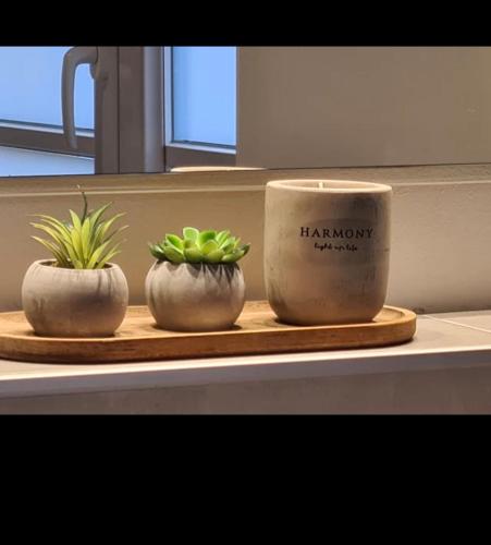 two plants in pots on a counter with a mug at Villa19hundert5 moderne Ferienwohnungen in zentraler Lage in Lindenberg im Allgäu