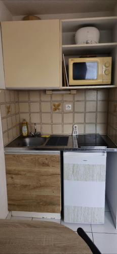 une petite cuisine avec un évier et un micro-ondes dans l'établissement LOCATION STUDIO EN BORD DE PLAGE A GRUISSAN, à Gruissan
