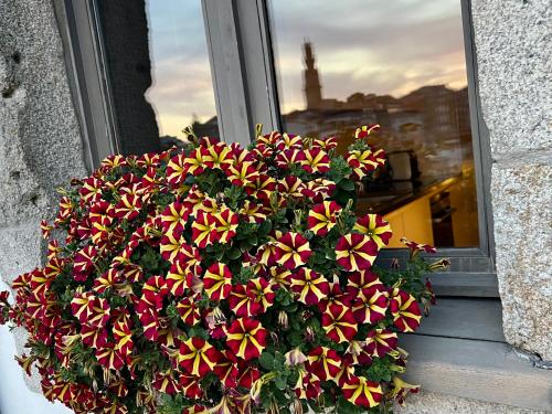 a pot of flowers in front of a window at Urban Apartment Casa da Portela in Porto