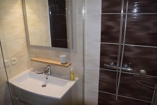 une salle de bain avec un lavabo et une douche dans l'établissement T3 lumineux tout confort aux portes de la Rochelle, à Aytré
