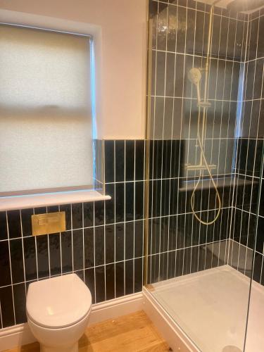 a bathroom with a toilet and a shower at Valley View in Keynsham