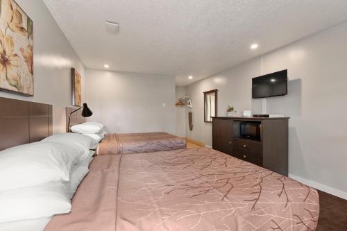a bedroom with a large bed and a television at Oasis Inn in Kelowna