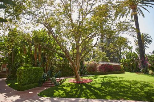 The Beverly Hills Hotel - Dorchester Collectionにある庭