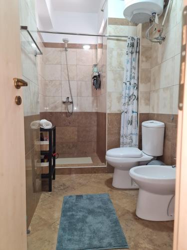 都拉斯Hana's Apartment的带卫生间和淋浴的浴室