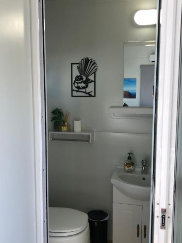 a white bathroom with a toilet and a sink at Fiordland Cabin in Manapouri