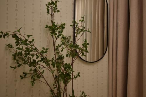 a plant in front of a mirror next to a curtain at Amaltas The View - Bespoke Hotel Apartment in Kigali