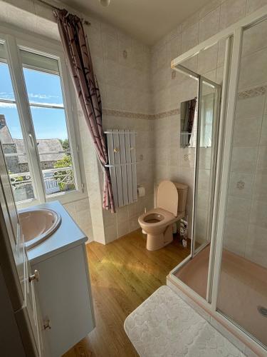 une salle de bain avec toilettes, lavabo et douche dans l'établissement Proche plage, maison de bourg pleine de charme, à Gouville-sur-Mer