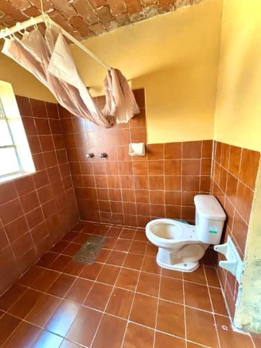 Gallery image of Hotel Las Palmas By GEstores in San Miguel Regla