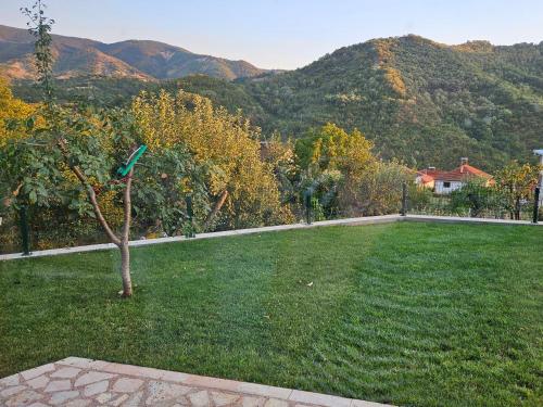 a green yard with a tree and mountains in the background at Villa Sara in Kratovo