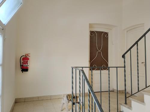 a dog is standing next to a fire hydrant in a house at Departamento compartido de artistas para viajeros en el corazón de Mendoza in Mendoza
