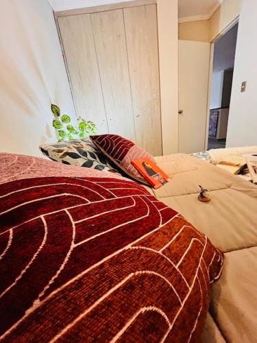 Una cama o camas en una habitación de Hostal SaraTierra