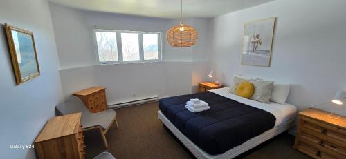 プティット・リヴィエール・サン・フランソワにあるBleuzen appartement du bas vue sur fleuve , Spa, WOWのベッドと机と椅子のある寝室