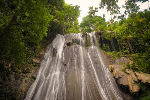 a waterfall in the middle of a forest at Wai Resort - Raja Ampat in Pulau Birie