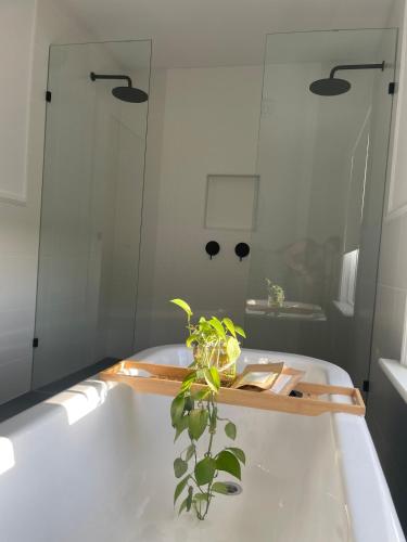 a bathroom with a bath tub with a plant in it at Flume Krondorf Winemakers Haus in Kabininge