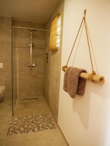 a bathroom with a shower with a glass door at Coco Soley in Le Diamant