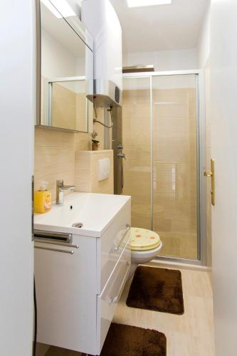 a white bathroom with a shower and a toilet at Holiday house with a parking space Janjina, Peljesac - 24077 in Janjina