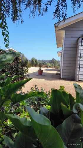 Jardín al aire libre en Experiencia en tiny house