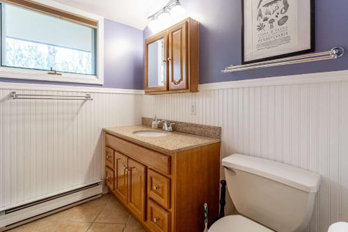 a bathroom with a toilet and a sink and a window at Whispering Pines Chalet Game Room Fire Pit in Pocono Pines
