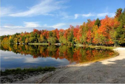 a reflection of trees in a lake with fall foliage at Blue Wolf Retreat Pool Table Cozy BBQ in Albrightsville