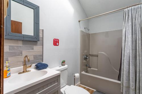 a bathroom with a sink and a toilet and a shower at Tranquil Shores Waterfront Fire Pit Hammock in Tobyhanna