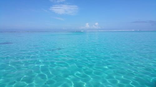 ゲストハウスの近くで見られる自然の景観