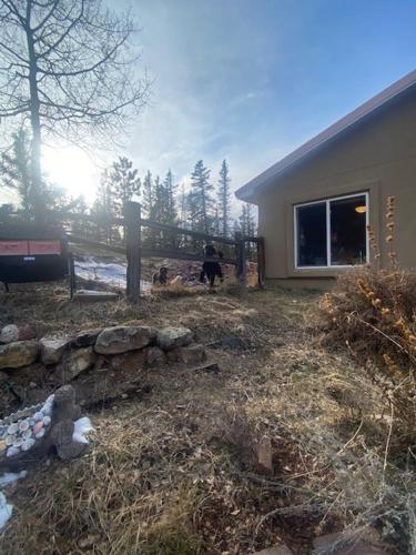 a dog is standing next to a house at Rocky Mountain Retreat in Divide