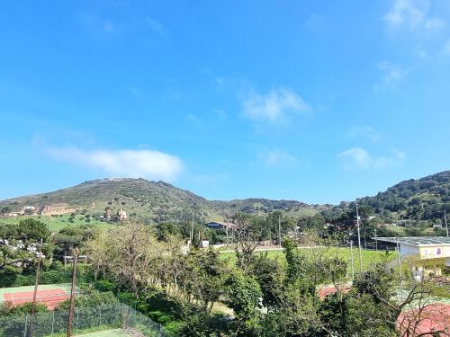 Port-Vendres : T2 calme avec parking, grande terrasse ensoleillée et proche du port - FR-1-309-215