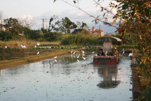 a small boat in the water with birds on it at Dragonfly B&B in Dazhou