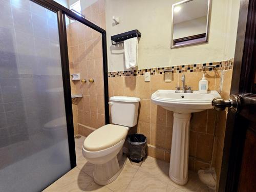 a bathroom with a toilet and a sink at Arte Sano Hotel San Cristobal in San Cristóbal de Las Casas