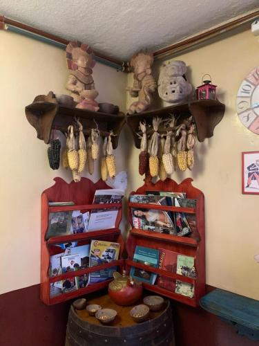 a room with shelves with toys and other items at Flying Donkey in Otavalo