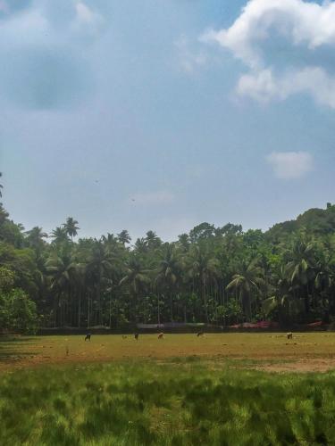 Gambar di galeri bagi Blue Waves Beach Stay di Kumta