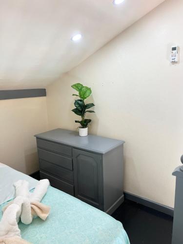 a bedroom with a bed and a plant on a dresser at Lucky 13 in Tower Isle