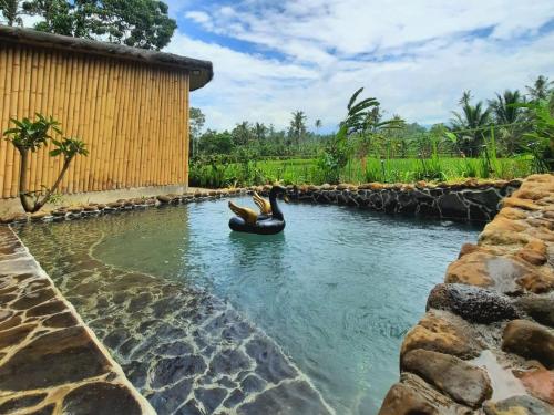 a pool of water with a person swimming in it at Sawah Ijen in Licin