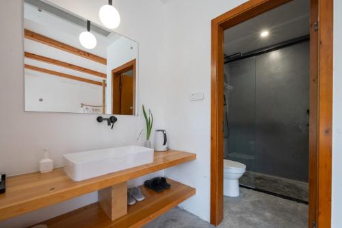 a bathroom with a sink and a toilet and a mirror at 青城山喜遇安下私汤民宿 in Dujiangyan