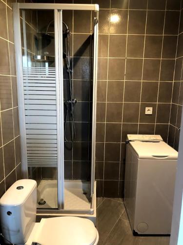 une salle de bain avec douche et toilettes dans l'établissement Petite dépendance cosy proche aéroport, à Orly