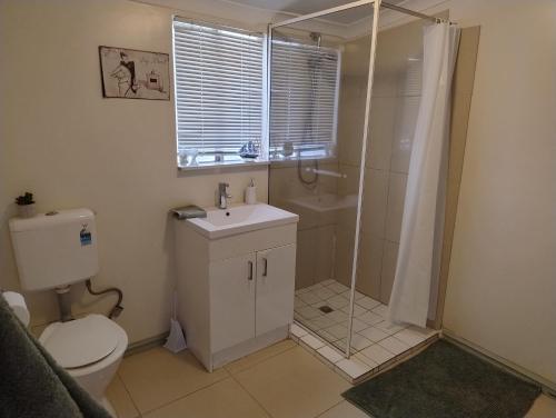 a bathroom with a toilet and a shower and a sink at Corella Accommodation 1A in Boulder