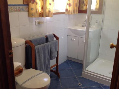 e bagno con servizi igienici, lavandino e doccia. di Fergies Hill Spa Cottage @ Granite Ridge Wines a Ballandean