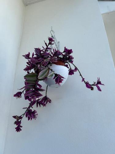 a plant in a white vase hanging on a wall at The Sky - The Cave Guest House in Tanah Rata