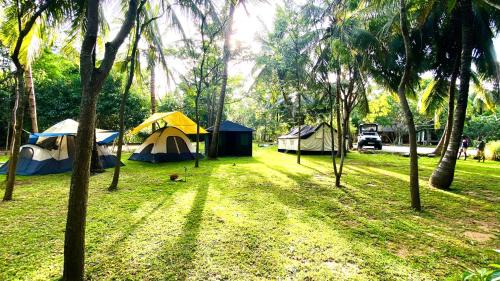 a group of tents in a field with trees at Udawalawa Eco Lodge in Udawalawe