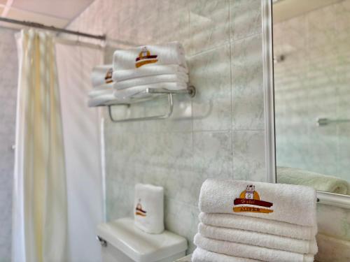 Koupelna v ubytování Hotel Alifer