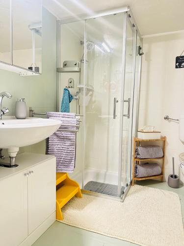un bagno con doccia e lavandino di Ferienhaus zentral & grün a Lipsia