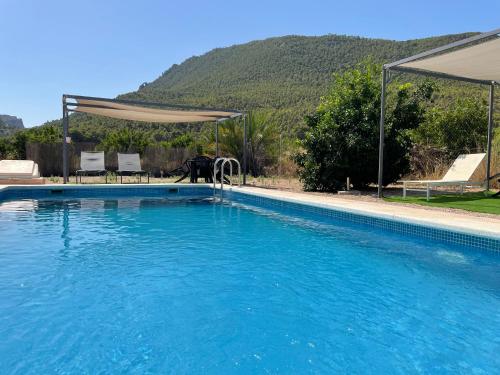 a dog is standing next to a swimming pool at Casas Amarillas. Finca el Campillo in Blanca