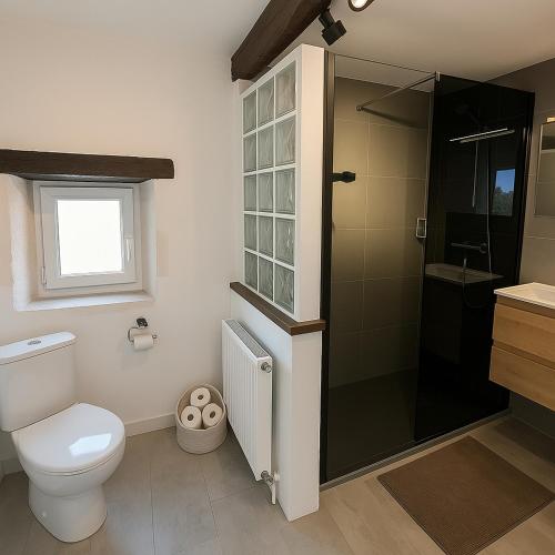 une salle de bain avec toilettes et douche en verre dans l'établissement La maison du canal, à Champforgeuil