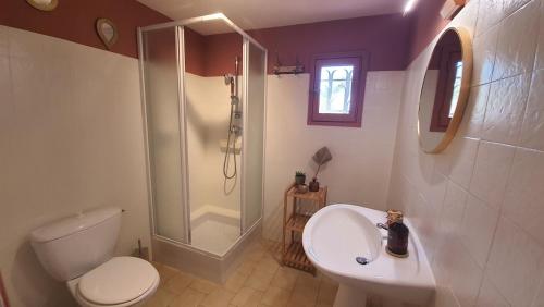 une salle de bain avec toilettes, douche et lavabo dans l'établissement Cocon de Provence, au Cannet-des-Maures