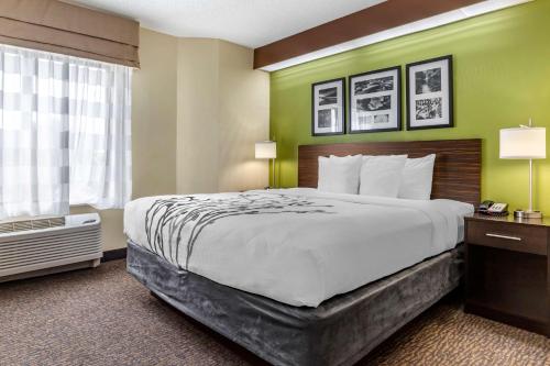 a hotel room with a large bed and a window at Sleep Inn Matthews-Charlotte in Charlotte